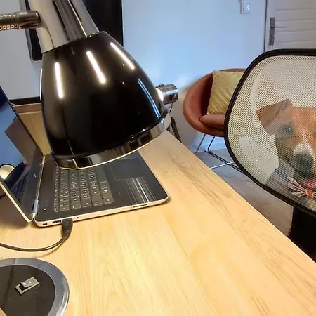 Le Duplex Des Halles Lägenhet