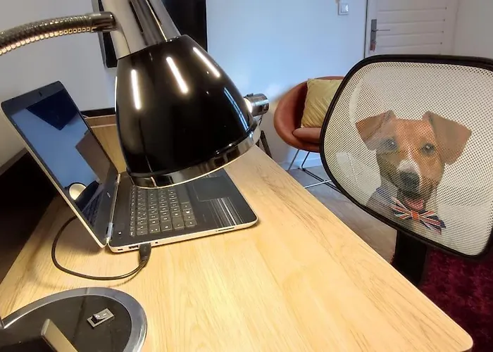 Le Duplex Des Halles Lägenhet